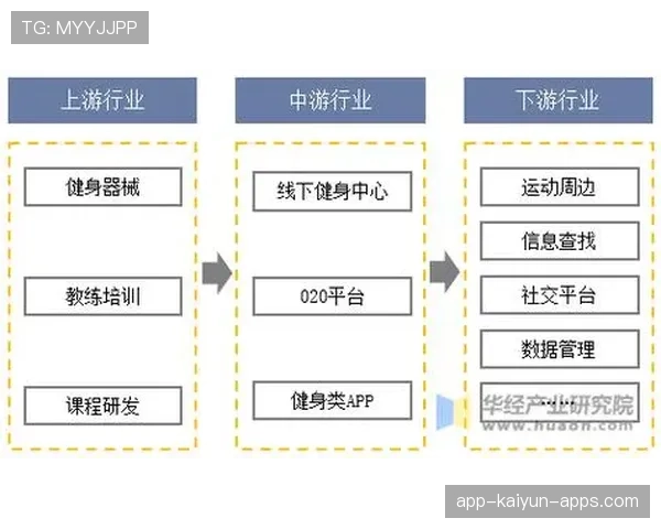 健身行业为何持续高速增长